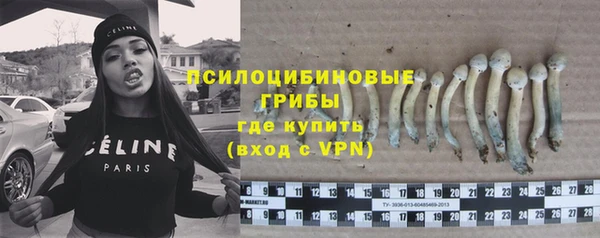 сатива Покровск