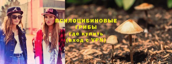 сатива Покровск