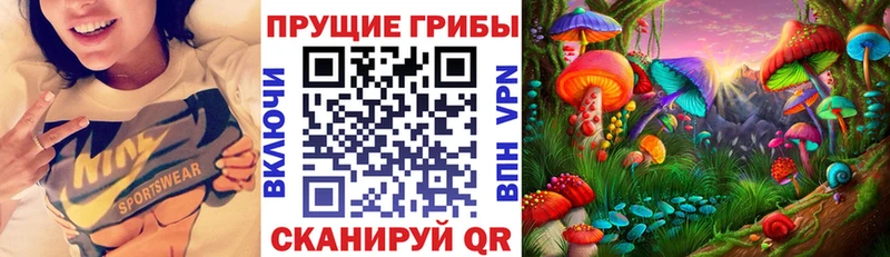 Псилоцибиновые грибы GOLDEN TEACHER  это наркотические препараты  Кинешма  где продают наркотики 