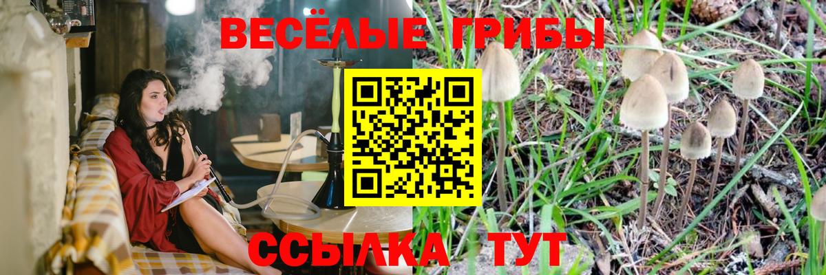 Галлюциногенные грибы MAGIC MUSHROOMS Кинешма
